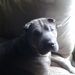 Meet your Posher, Mike